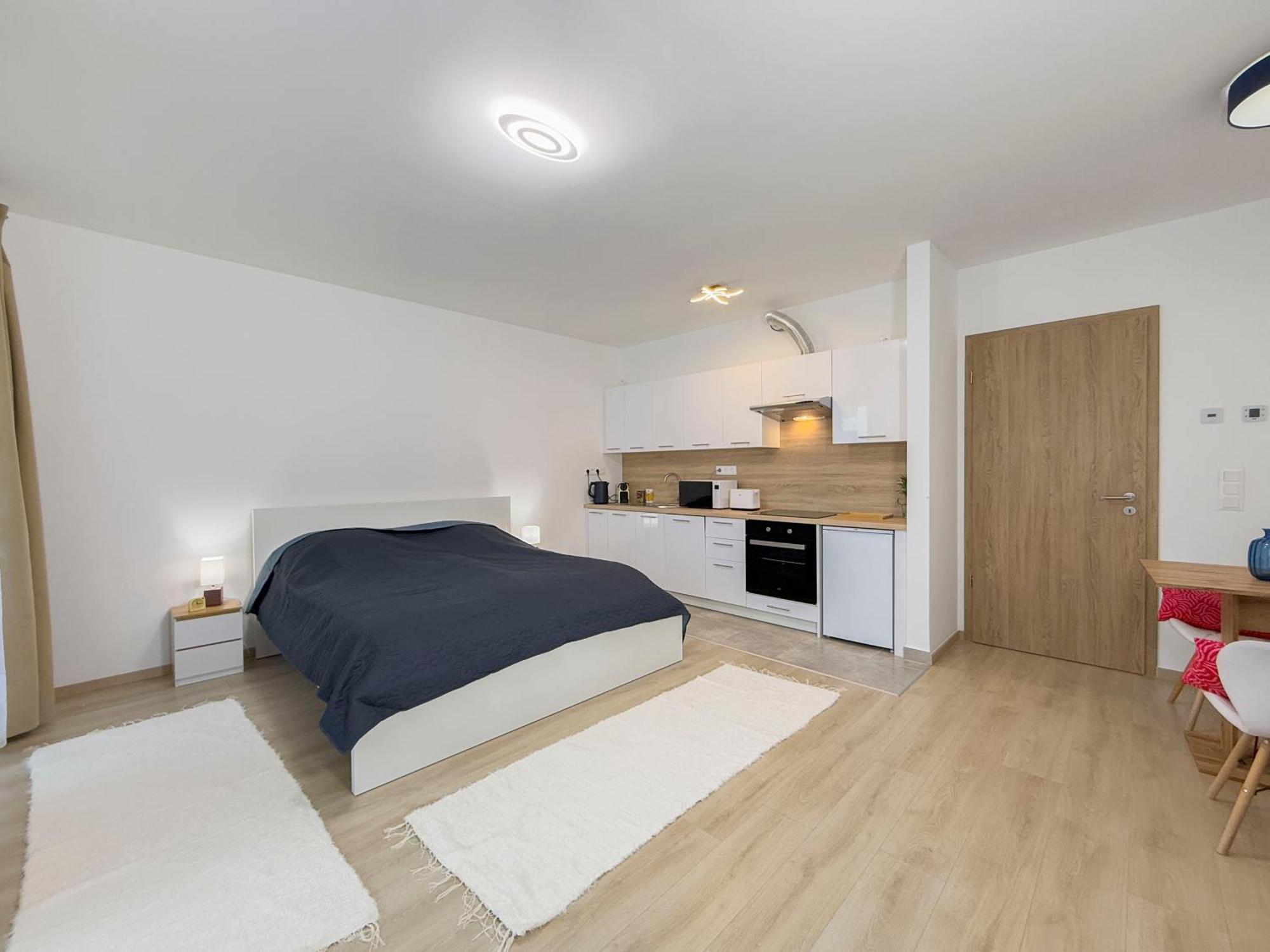 Danube River Flat With Balcony,free Garage